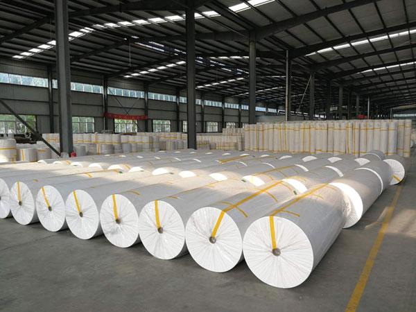 临安狭缝式涤纶纺粘无纺布